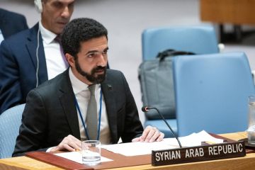 الشرع يبحث مع وفد مجلس الأمن انتهاكات إسرائيل