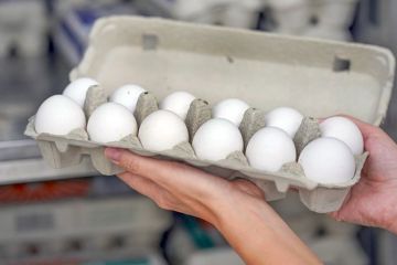  الغذاء توصي بحظر ورفع الحظر عن استيراد لحوم الطيور والبيض من بعض الدول