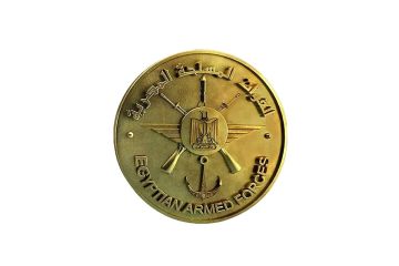 الجيش المصري: سقوط طائرة تدريب نتيجة عطل فني واستشهاد طاقمها الجيش المصري: سقوط طائرة تدريب نتيجة عطل فني واستشهاد طاقمها