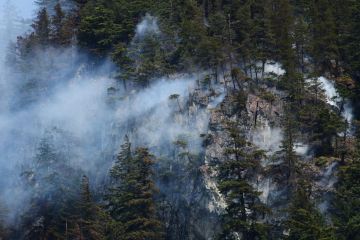 حرائق الغابات في كندا تلتهم 6 ملايين هكتار