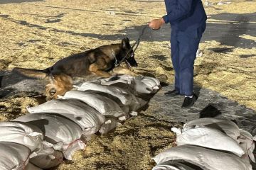  الجمارك : إحباط تهريب كميات كبيرة من المخدرات في ميناء الدوحة