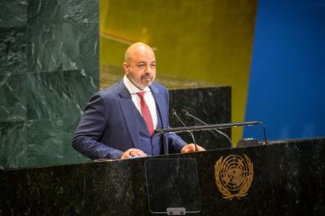 الكويت أمام الأمم المتحدة: صياغة اتفاقية تعزز حقوق المصابين بأمراض نادرة