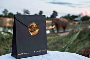 أغلى قهوة من فضلات الفيلة