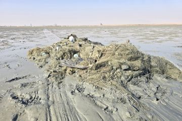 فريق الغوص الكويتي يطلق حملة كبرى لتنظيف جون الكويت