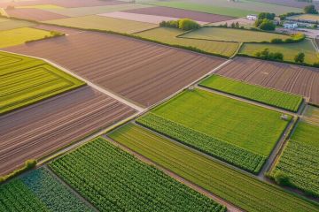 اختراعه أدخله السجن في مصر