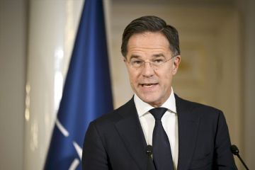  ناتو : الاتفاق مع الدنمارك على تعزيز أمن الدائرة القطبية الشمالية