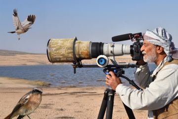 5 أنواع جديدة تنضم لقائمة طيور الكويت ليرتفع عددها إلى 424 نوعا