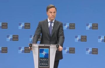 الأمين العام للناتو: أوروبا لا تستطيع الدفاع عن نفسها من دون الولايات المتحدة