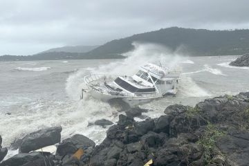 كوجي ... أمطر وأغرق وقطع الكهرباء كوجي ... أمطر وأغرق وقطع الكهرباء