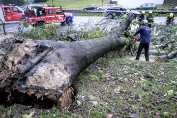  كريستين تحصد البشر وتسقط الشجر