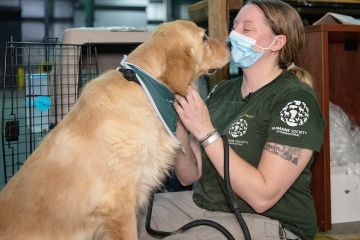 إنقاذ كلاب من جرعة زائدة