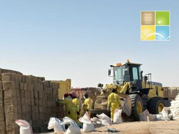  هيئة البيئة : رصد مخالفات بيئية في بر الوفرة و عريفجان 