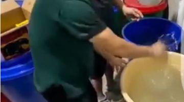 ضبط شبكة لتصنيع الخمور المحلية داخل منزل في الرحاب ضبط شبكة لتصنيع الخمور المحلية داخل منزل في الرحاب
