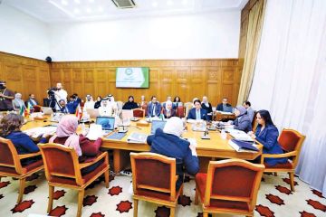 مصر تستضيف الدورة الأولى للمهرجان العربي المسرحي مصر تستضيف الدورة الأولى للمهرجان العربي المسرحي