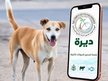 هيئة الزراعة تدشن منصة ديرة للإبلاغ عن الحيوانات الضارة هيئة الزراعة تدشن منصة ديرة للإبلاغ عن الحيوانات الضارة