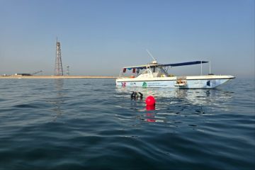 فريق الغوص يجهز 35 مربطا بحريا في جزيرة كبر لحماية الشعاب المرجانية فريق الغوص يجهز 35 مربطا بحريا في جزيرة كبر لحماية الشعاب المرجانية