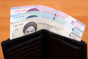 الإيرانيون يتحدون الرقابة بحثا عن الدولار والذهب الإيرانيون يتحدون الرقابة بحثا عن الدولار والذهب