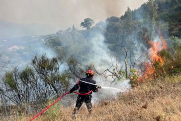 الجزائر توسع حكم الإعدام ليشمل جرائم إحراق الغابات الجزائر توسع حكم الإعدام ليشمل جرائم إحراق الغابات