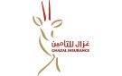  الإفلاس تقرر إقفال تفليسة غزال للتأمين لعدم كفاية أموالها