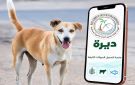 هيئة الزراعة تدشن منصة ديرة للإبلاغ عن الحيوانات الضارة