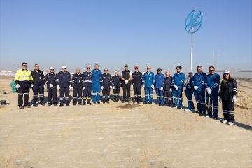 مؤسسة البترول: زراعة أشجار السدر في واحة الأحمدي دعما للاستدامة