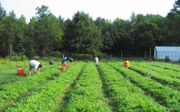  النخيل تجدد عقد تسهيلات ائتمانية بـ7.75 مليون دينار