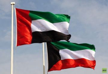 الإمارات تعلن تضامنها مع الكويت.. ما علاقة عريضة قدمها العراق للأمم المتحدة؟