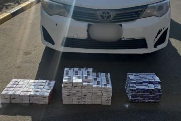 الجمارك : إحباط 5 محاولات لتهريب السجائر في النويصيب.. وضبط 1639 علبة الجمارك : إحباط 5 محاولات لتهريب السجائر في النويصيب.. وضبط 1639 علبة