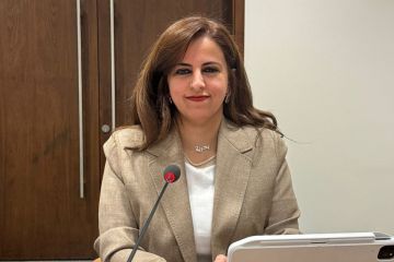  الفنية تبحث المساحة الترفيهية في الجزيرة الخضراء