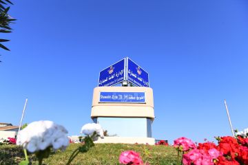  الجمارك تطلق خدمة الإفصاح عن الأموال عبر سهل 