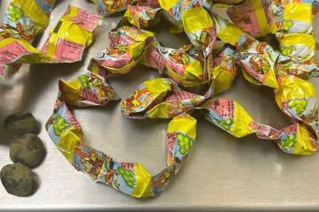 جمارك المطار تحبط 3 محاولات لتهريب حشيش و ترامادول قادمة من الهند