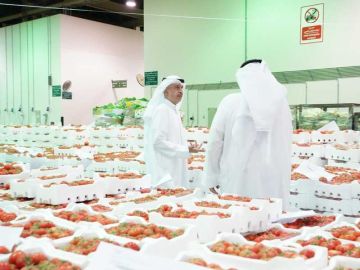 وزير التجارة: الإنتاج المحلي من الطماطم سيصل لـ350 طنا يوميا خلال الأيام المقبلة