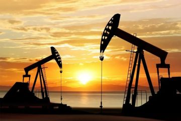 رهانات نفطية بـ 580 مليون دولار سبقت منشور ترامب 