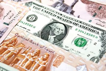 الجنيه المصري يكسر موجة الخسائر أمام الدولار الجنيه المصري يكسر موجة الخسائر أمام الدولار