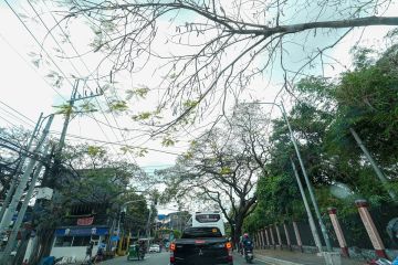 العالم يشهد خامس أدفأ شهر فبراير على الإطلاق رغم برودة أوروبا