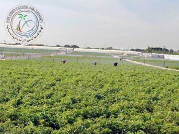  الزراعة : دعم الإنتاج المحلي وترسيخ دعائم الأمن الغذائي