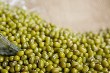 اللوبيا تقلل الكوليسترول اللوبيا تقلل الكوليسترول