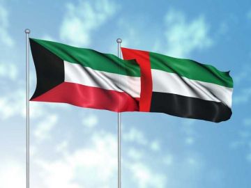 الإمارات: نتضامن مع الكويت وندعم كافة إجراءاتها لحماية أمنها واستقرارها