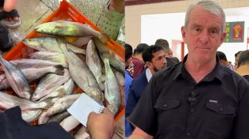 الكويت تعلن ضبط شبكة تابعة لحزب الله خططت لاغتيال قيادات الدولة .. والإمارات تعلق