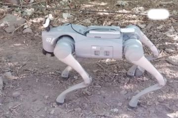  ماعز جبال يساعد المزارعين ويحفظ بيانات النباتات