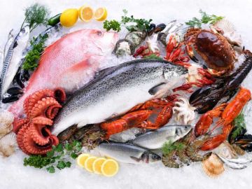 هيئة الزراعة: استمرار استيراد الأسماك عبر المنافذ البرية.. بكميات جيدة