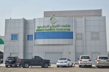  المزارعين : وفرة بالمنتجات واستقرار الأمن الغذائي