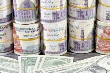 ارتفاع جديد لسعر الدولار في مصر بعد هدوء مؤقت