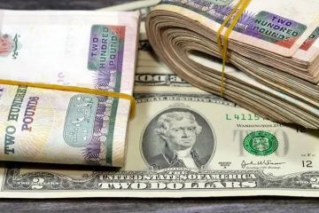الدولار يعود للارتفاع في مصر... مستوى قياسي يقترب مجددا