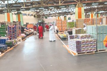 التعاون الحكومي يعزز صمود الأمن الغذائي في الكويت ويؤمن استقرار السوق