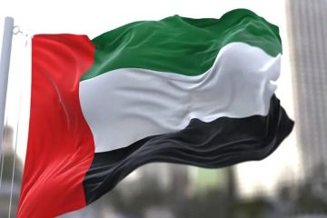 الإمارات تدين بأشد العبارات أعمال الشغب والاعتداء على سفارتها في دمشق