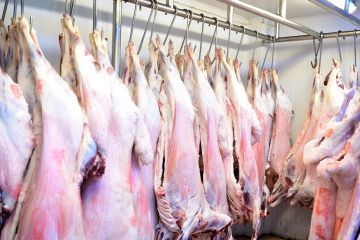  هيئة الغذاء : تعزيز الرقابة على المسالخ لحماية صحة المستهلكين