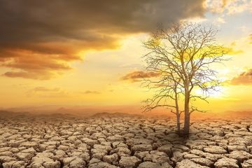 تغير المناخ يفاقم المخاطر الصحية في أوروبا