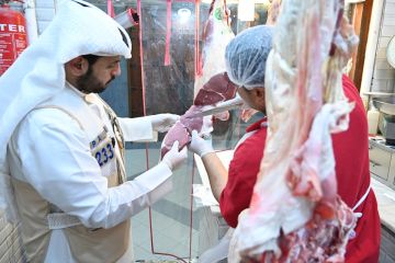  الغذاء : مستوى سلامة الغذاء مطمئن ويخضع لرقابة مستمرة