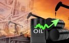 ارتفاع سعر برميل النفط الكويتي 53 سنتا ليبلغ 56.102 دولار
